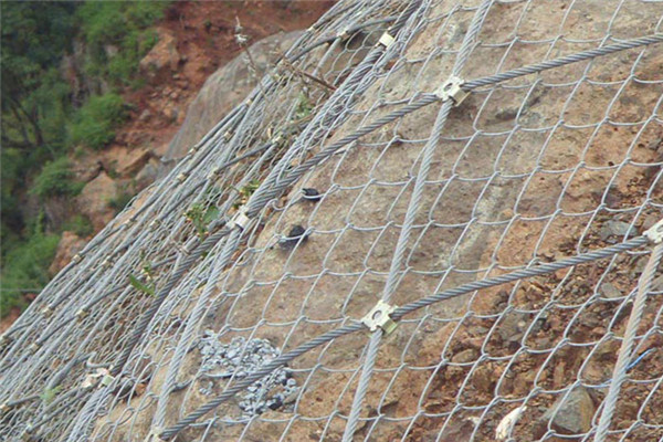 sns主動(dòng)防護(hù)網(wǎng)系統(tǒng)圖片