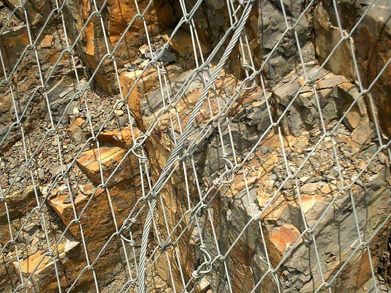 布魯克網(wǎng)（鈦克網(wǎng)）圖片