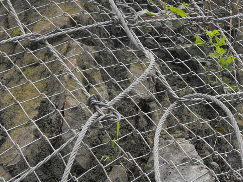 TECCO布魯克網(wǎng)