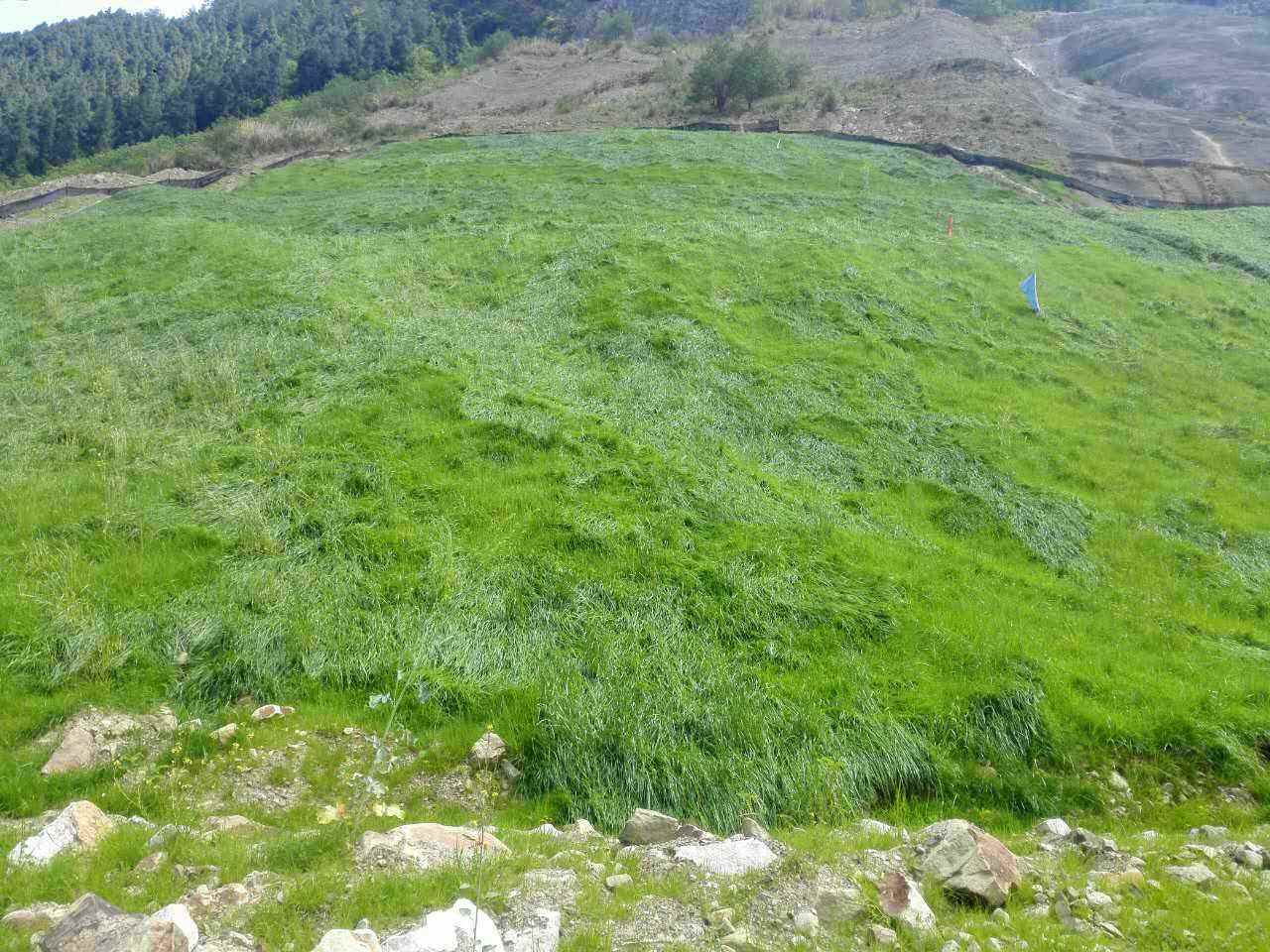 常見(jiàn)邊坡防護(hù)網(wǎng)