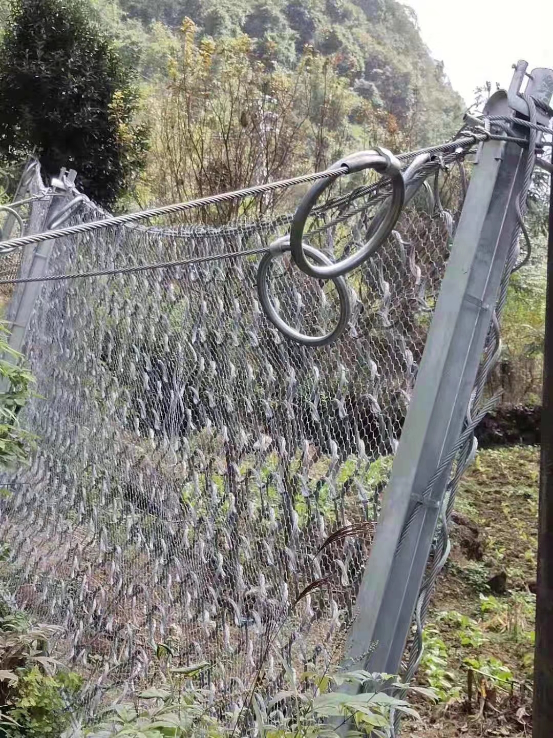 被動(dòng)防護(hù)網(wǎng)