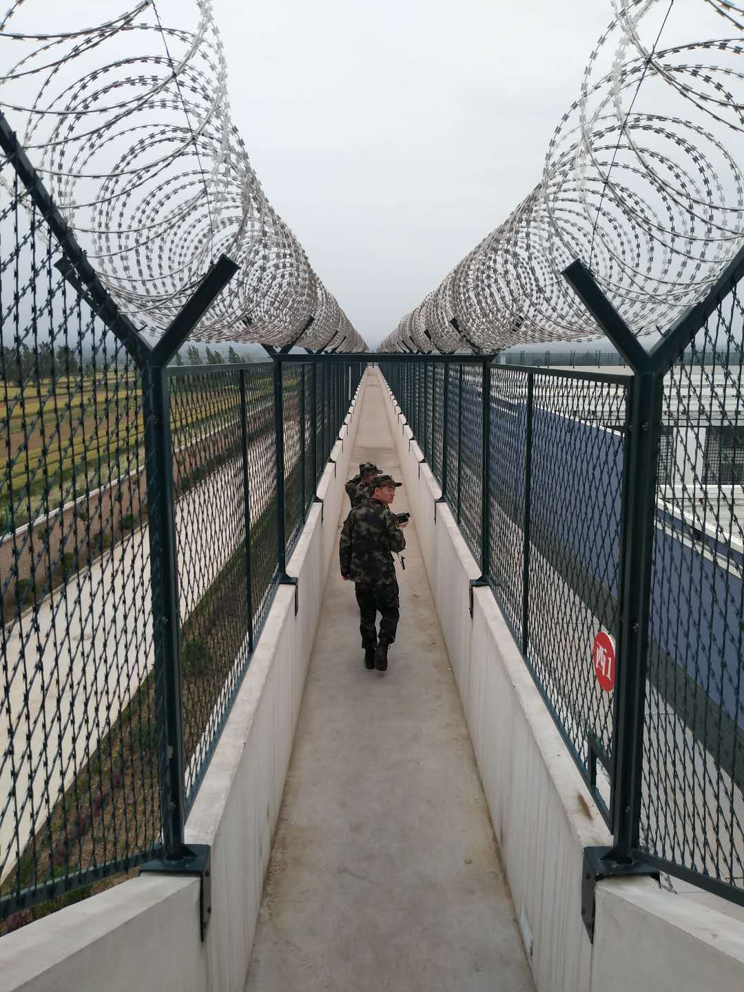 刀片刺繩防護(hù)網(wǎng)圖片